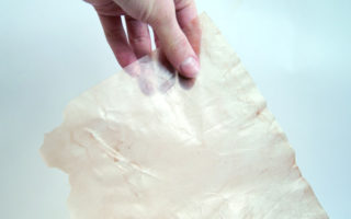 Using microbial cellulose as sustainable packaging material