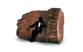 Tree Trunk Chair is formed by a living tree trunk