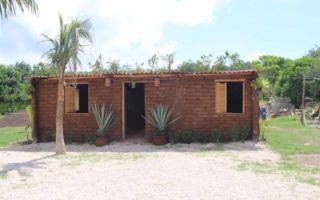 A house built with seaweed