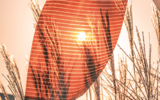 Affordable perovskite solar panels