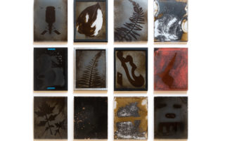 Making graphene visible