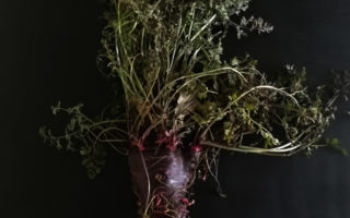 Making materials from native vegetables
