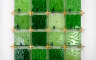 Grow your own algae in an indoor micro-algae farm
