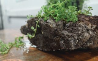Lightweight bricks made with luffa and charcoal