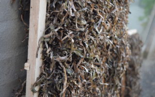 Prefabricated seaweed thatched panels