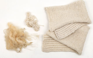Knitwit Stable