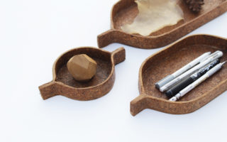 A biobased and biodegradable material made from pine needles