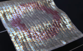 Shimmering sequins made of wood cellulose