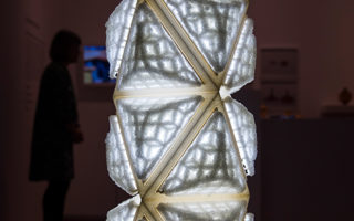 Breaking the boundaries between biology, design, and technology