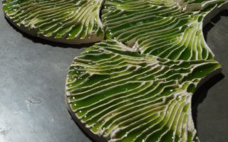 Algae and hydrogel coated tiles to clean water
