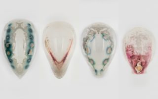 3D printed objects with incorporated living organisms