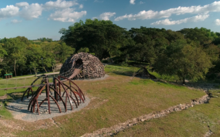 Domes made from reclaimed endemic wood