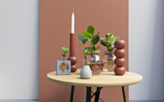 Plant-based paint