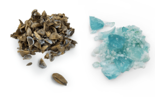 Blue glass made from invasive mussel species