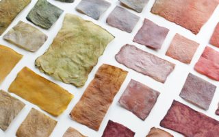 What not to miss at Dutch Design Week 2020 part 5: biomaterials