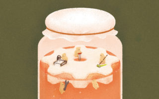 Living materials inspired by kombucha tea
