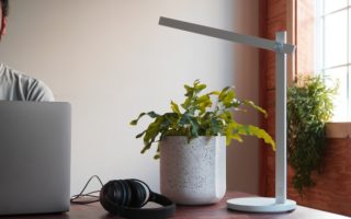 A ceramic planter made with biochar to trap carbon