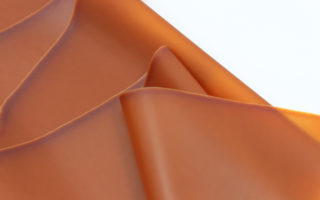 A continuous sheet of mushroom leather