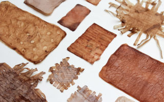 Biological grown material