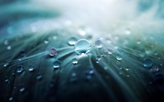 A biodegradable waterproof coating for paper