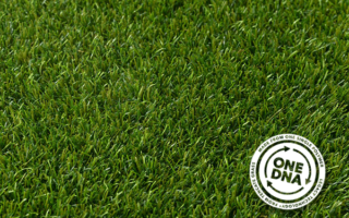 ONE-DNA™ by LimeGreen®