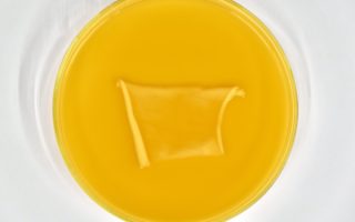 Fabulous Fungi dye