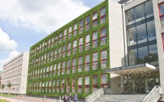 Moss-covered facades