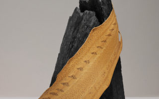 NOVA®️ sturgeon leather