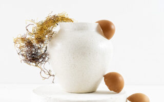 Ceramics made of egg shells and algae