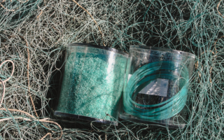 Fishy Filaments