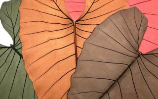 beLEAF