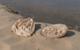 A 3D printed artistic carbon storage made of mussel shells