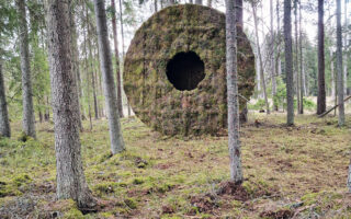 A hut made of plywood and moss provided by boars