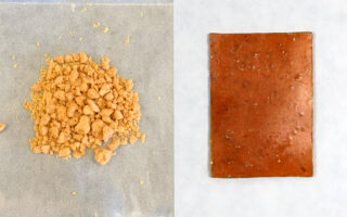 Endlessly recyclable plastic made by bacteria
