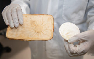 Fire-retardant mycelium material