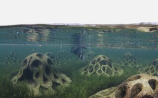 3D printed wave break modules  made of local shell waste