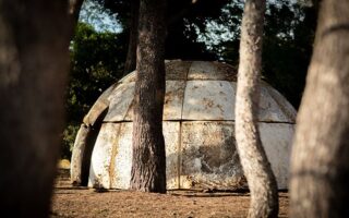 A dome made of mycelium