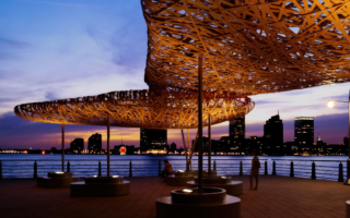 A bamboo canopy