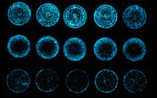 Algae as a living medium