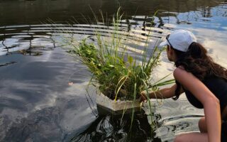 Floating biofiltration pods made of mycelium