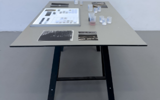 Phenol Sodium Ascorbate Developer