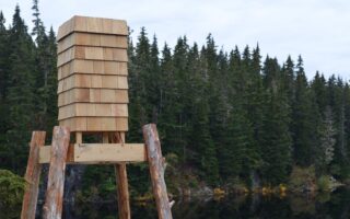 A bear cache made of reclaimed wood