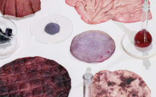 Bacterial cellulose