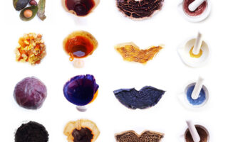 Food Waste Pigment