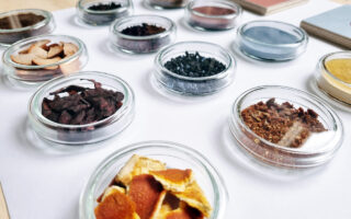 Food Waste Pigment