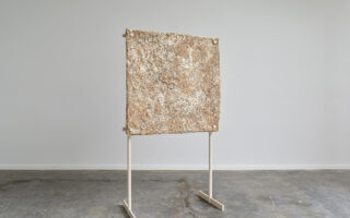 An acoustic panel made of mycelium