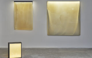 Biotextiles as light diffuser