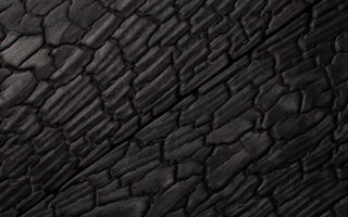 Burned Wood
