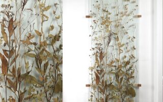 Floating Nature collage