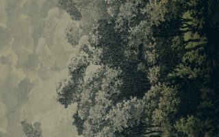 Ege Carpets
